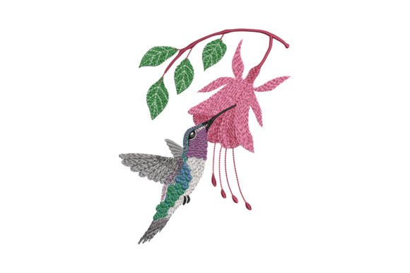Hummingbird and Fuchsia: A Designer's Review