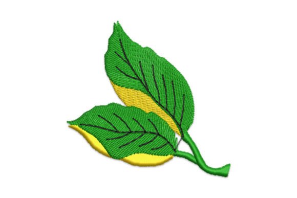 Leaf Embroidery Design: A Small Business Merch Review